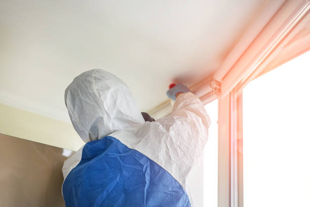 Why You Should Choose Our Mold Remediation Services in Kaplan, LA